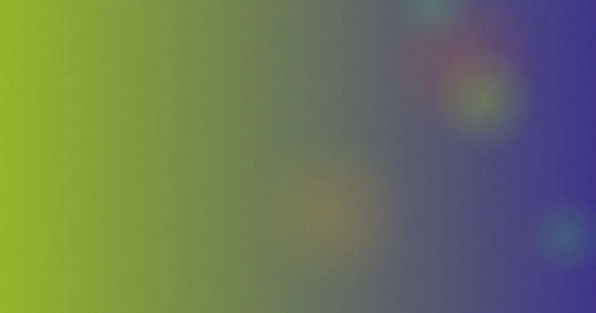 木天鱼测评：这些坑先看